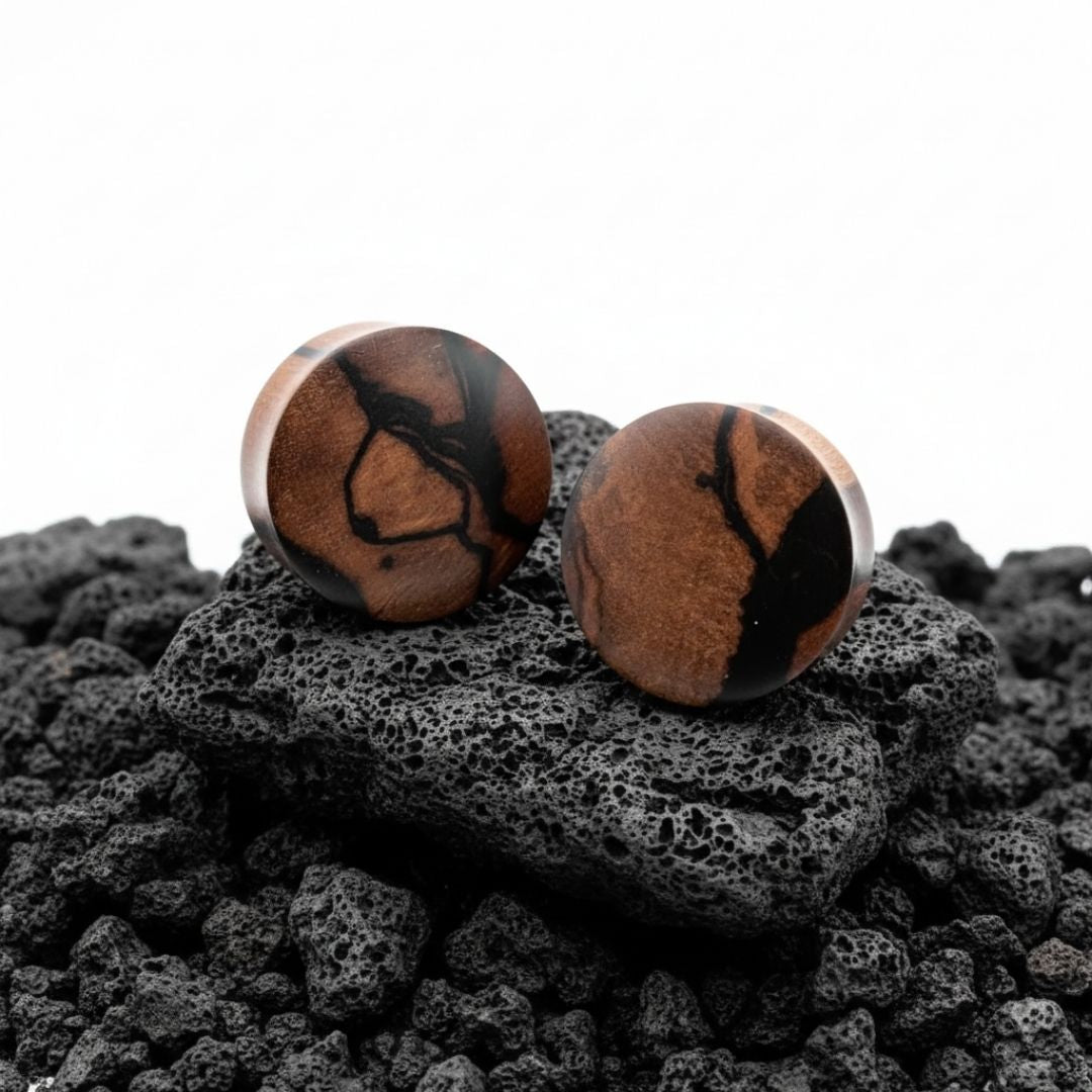 Pair of dark, organic Striped Ebony wood plugs shown flat, highlighting the natural grain texture. Gauges for stretched ears.