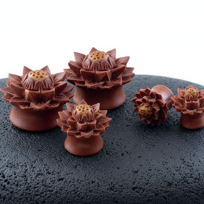 Studio photo of Carved Sawo Wood Lotus Plugs on stone against a clean white background.