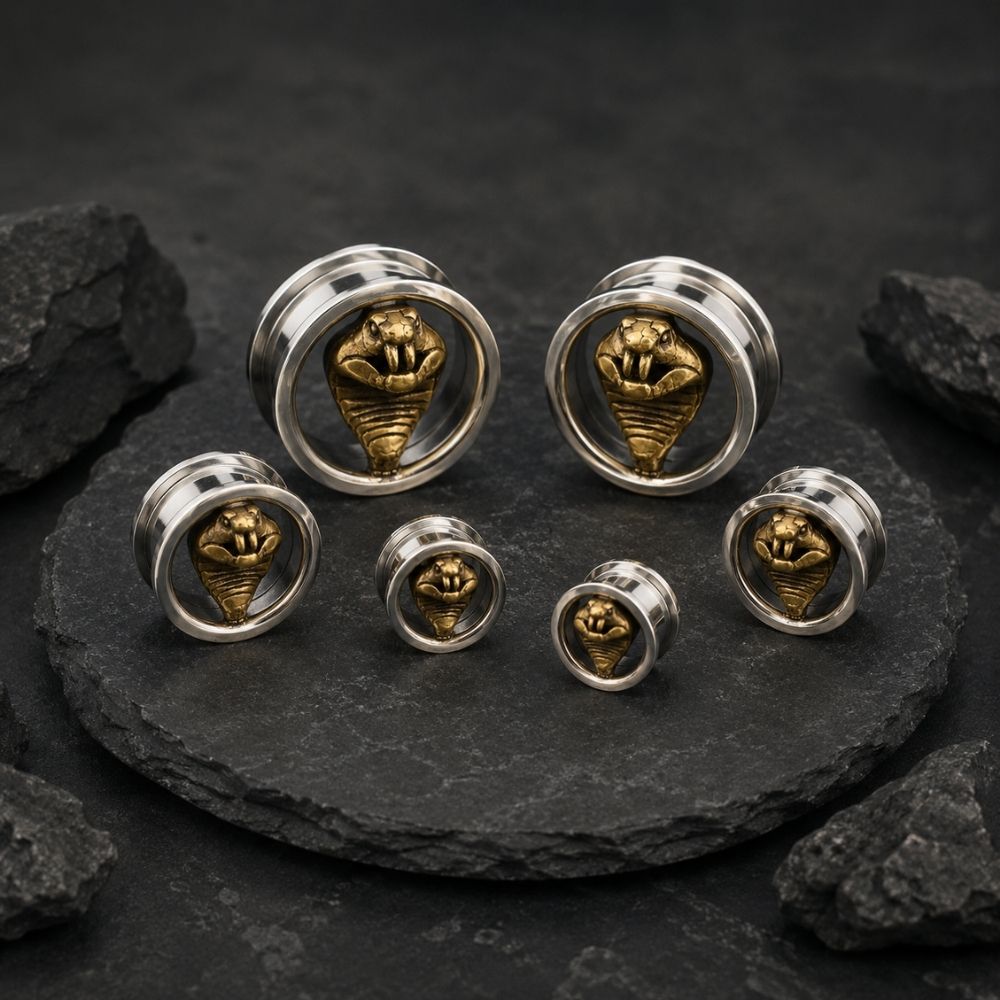 Six silver-toned ear plugs with gold-toned snake motifs, arranged on a dark stone slab with black rocks around them.