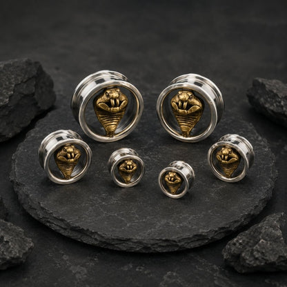 Six silver-toned ear plugs with gold-toned snake motifs, arranged on a dark stone slab with black rocks around them.