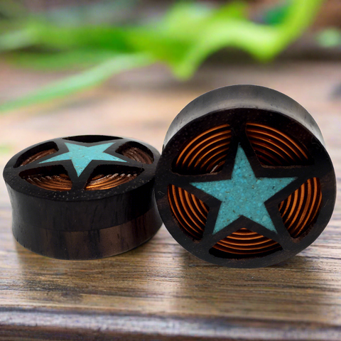Crushed Turquoise Star With Coil Inlay Plugs