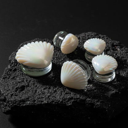 Pair of pearlescent iridescent glass plugs resembling seashells. Best unique gauges for stretched ears 6mm to 25mm.