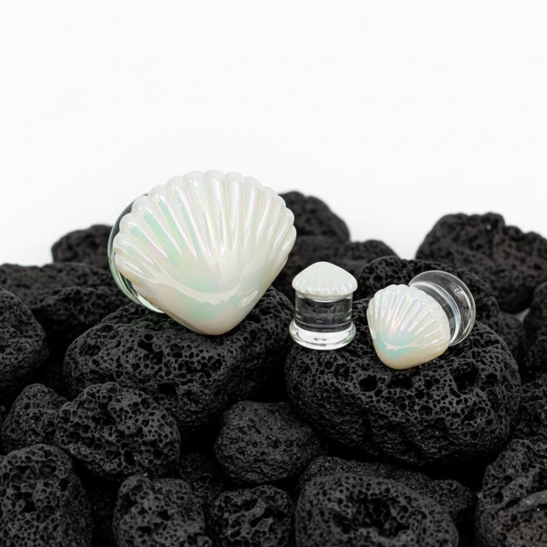 Pair of pearlescent iridescent glass plugs resembling seashells. Best unique gauges for stretched ears 6mm to 25mm.