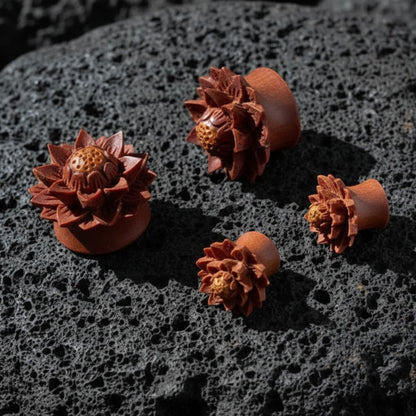 A pair of Carved Sawo Wood Lotus Plugs on dark volcanic rock with dramatic lighting.