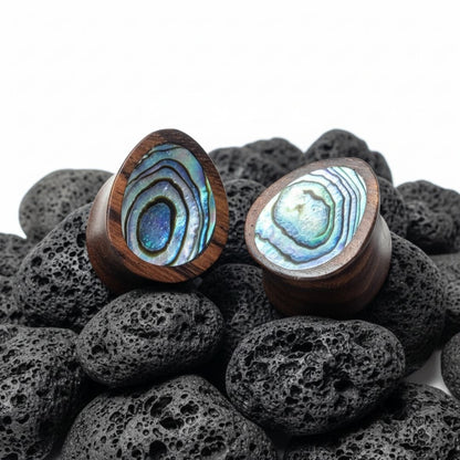 Pair of dark Sono wood teardrop gauges with natural iridescent abalone shell inlay, viewed head-on.