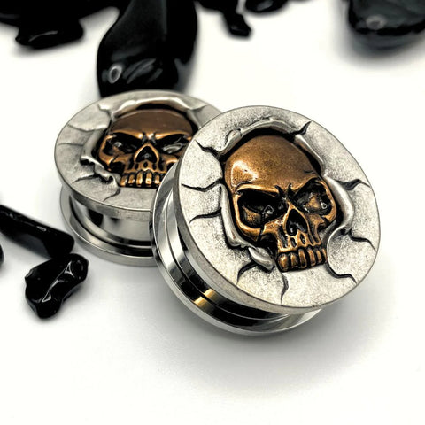 Steel Ear Plugs featuring a Central Bronze Skull Design.