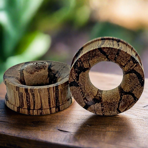 a pair of root wood tunnels for stretched ears