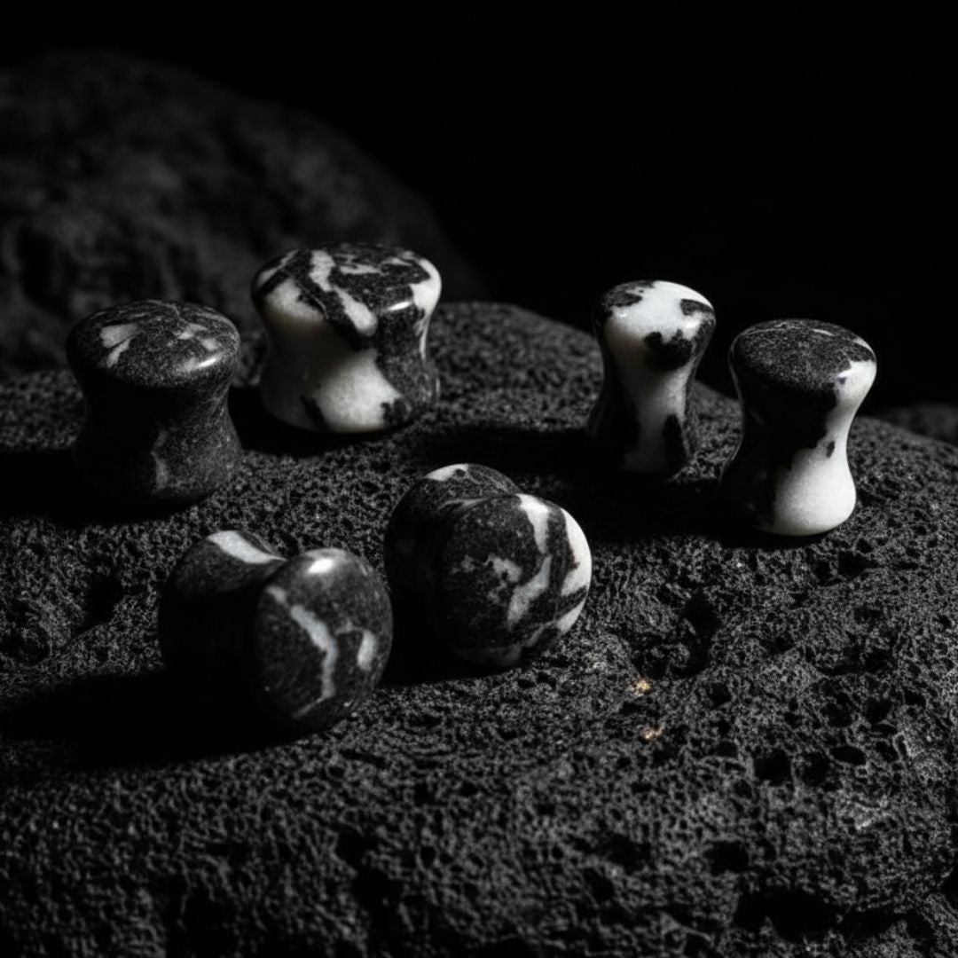 A pair of round Zebra Jasper stone plugs for stretched ears, displaying distinct black and white striped patterns on a white background.