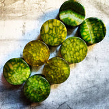 Green Dragon Scale Agate Plugs