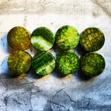 Green Dragon Scale Agate Plugs