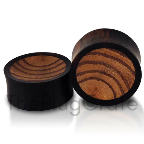 Areng Parasite Wood Inlay Concave Plugs