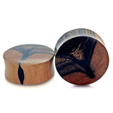 Striped Ebony Wood Plugs