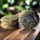 Wave Jasper Stone Premium Plugs